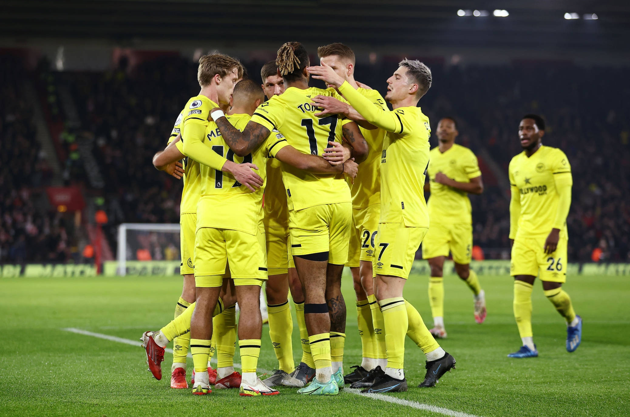 这一领域的 这一领域的